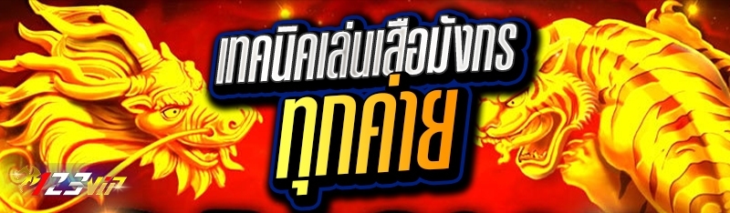 เทคนิคเล่นเสือมังกรทุกค่าย 